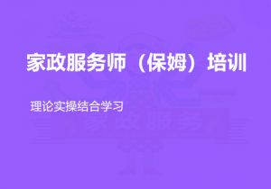 家政服务师（保姆）培训